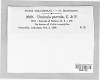 Uncinula parvula image